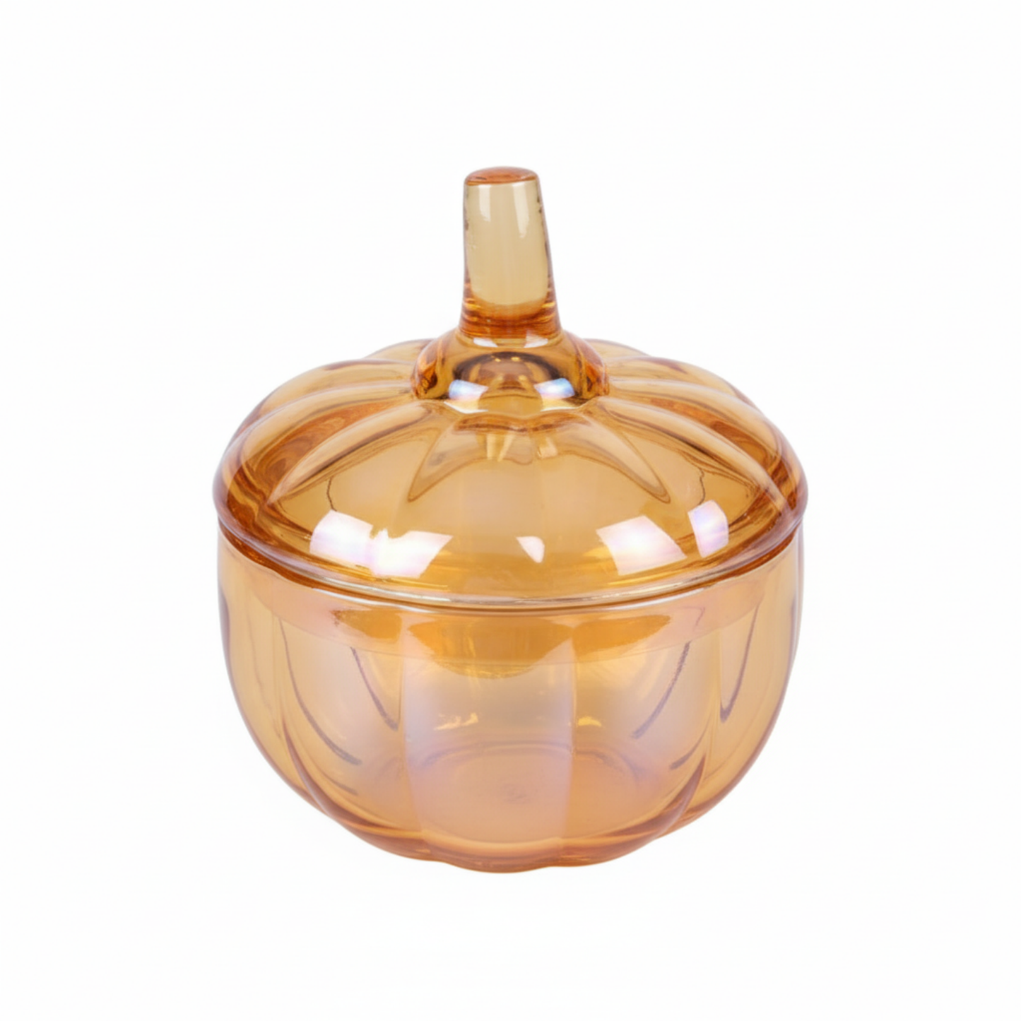 Pumpkin Food Storage Dailyalley