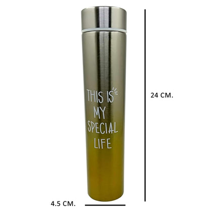 DailyAlley Slim 250ml Insulated Stainless Steel Bottle – Leakproof Mini Thermos for Travel, Office & Gym, Keeps Drinks Hot or Cold Dailyalley