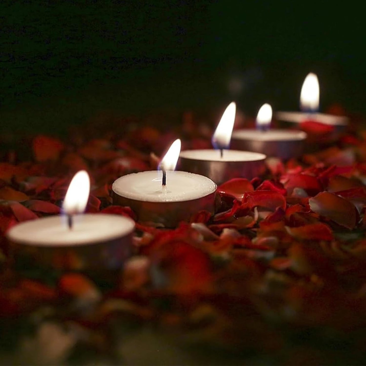 DailyAlley Tealight Candles Set of 100 | 4+ Hrs Long Burning Wax Diyas for Diwali, Puja, Home Décor, Weddings & Festive Parties Dailyalley