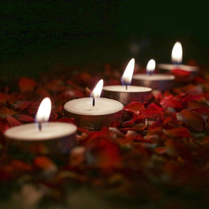 DailyAlley Tealight Candles Set of 100 | 4+ Hrs Long Burning Wax Diyas for Diwali, Puja, Home Décor, Weddings & Festive Parties Dailyalley
