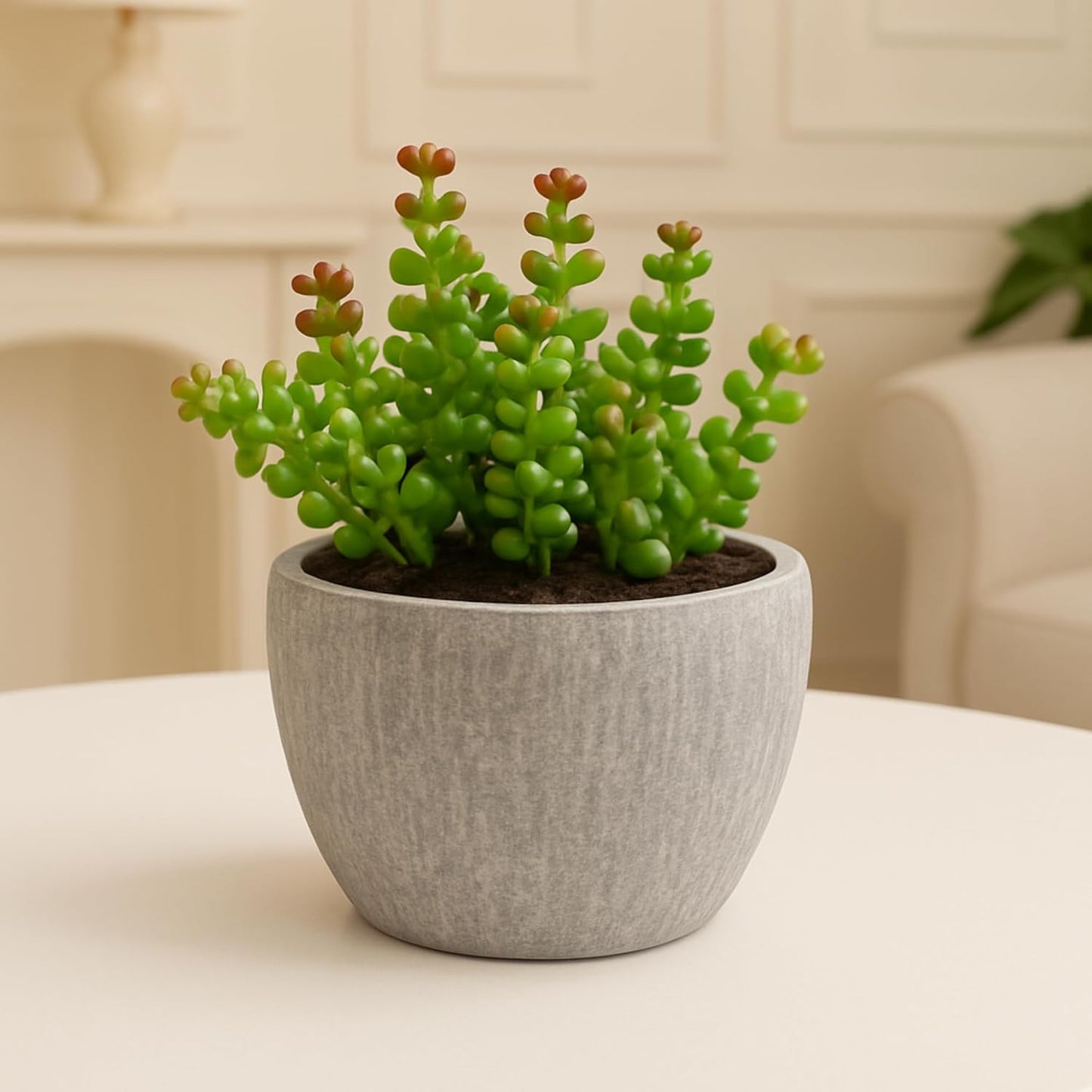 DailyAlley Artificial Jade Plant - A realistic, long-lasting faux green plant with a decorative pot, perfect for home, office, or living room decor. Dailyalley