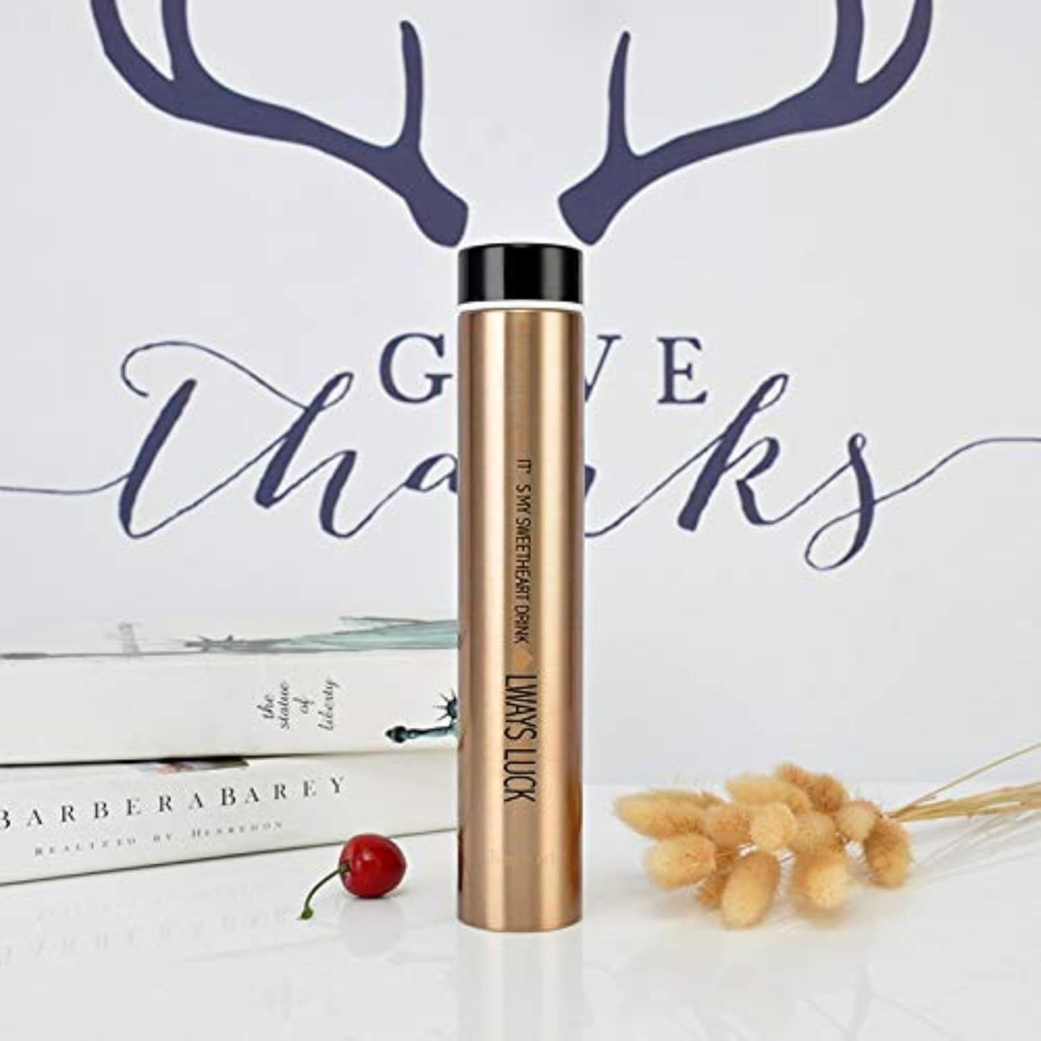 DailyAlley Slim 250ml Insulated Stainless Steel Bottle – Leakproof Gradient Thermos for Hot & Cold Drinks, Travel-Friendly & Stylish Dailyalley