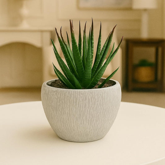 DailyAlley Artificial Green Plant with Decorative Pot – Realistic Faux Indoor Home & Office Décor, Long-Lasting & Modern Gift Dailyalley
